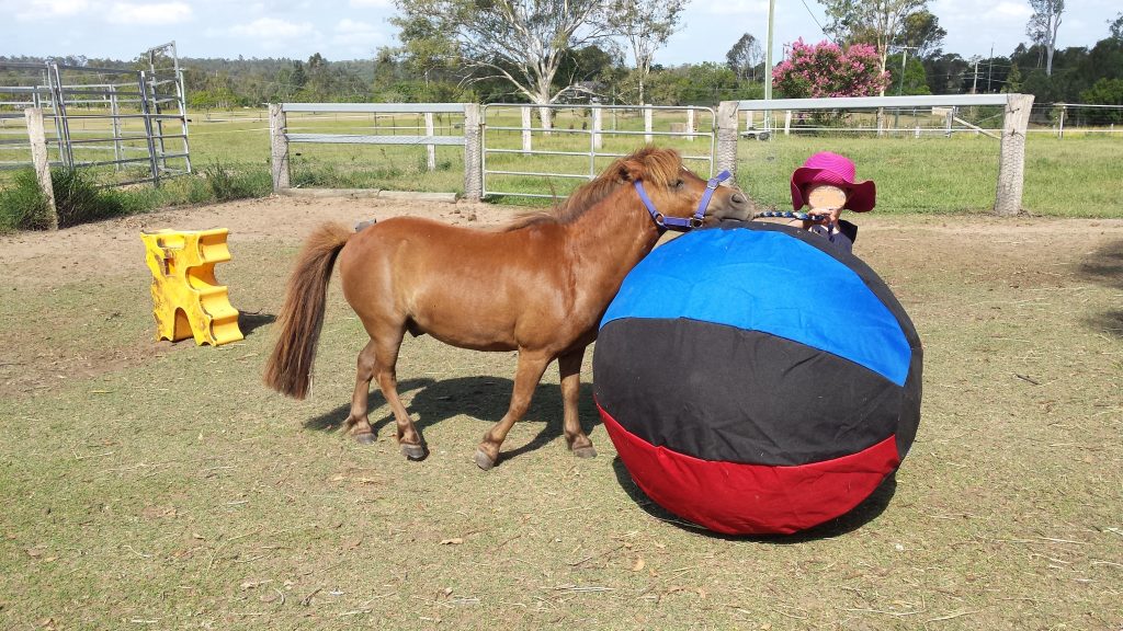 horses, stories, mental health, wellbeing